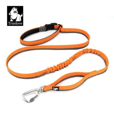 Truelove Nylon Bungee Dog Leash