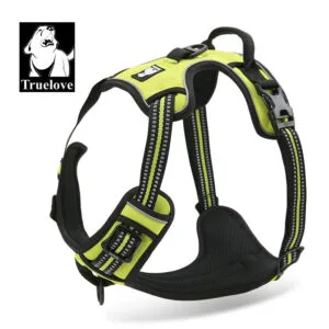 Neon Yellow
