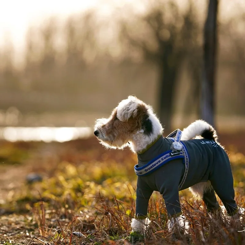 truelovepet (19)