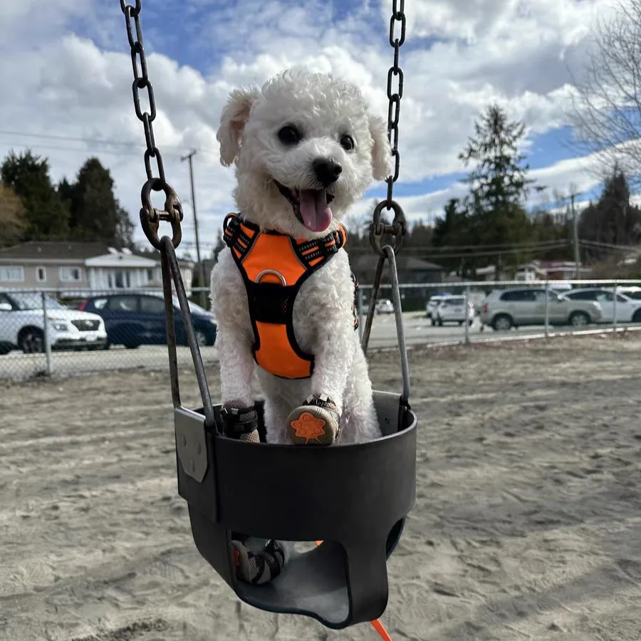 truelovepet (3)