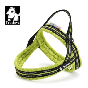 Neon Yellow