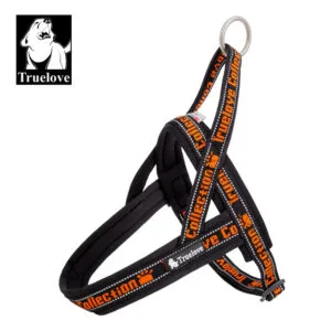 Black/Orange