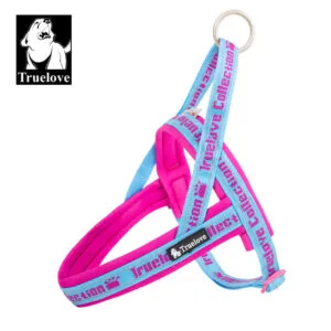 Sky Blue/Fuchsia