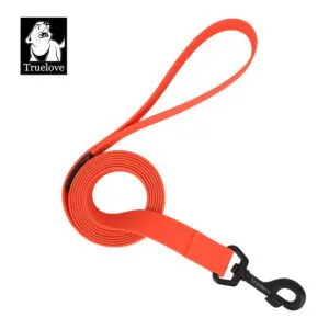 Neon Orange