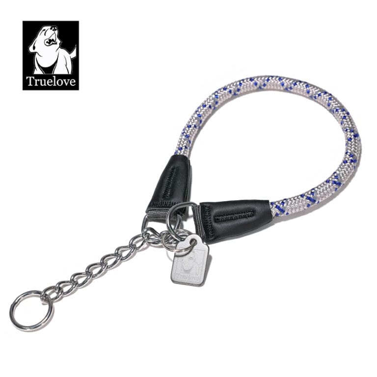 Beautiful view of Outdoor Safety Precautions For Outdoor Pet Collars
