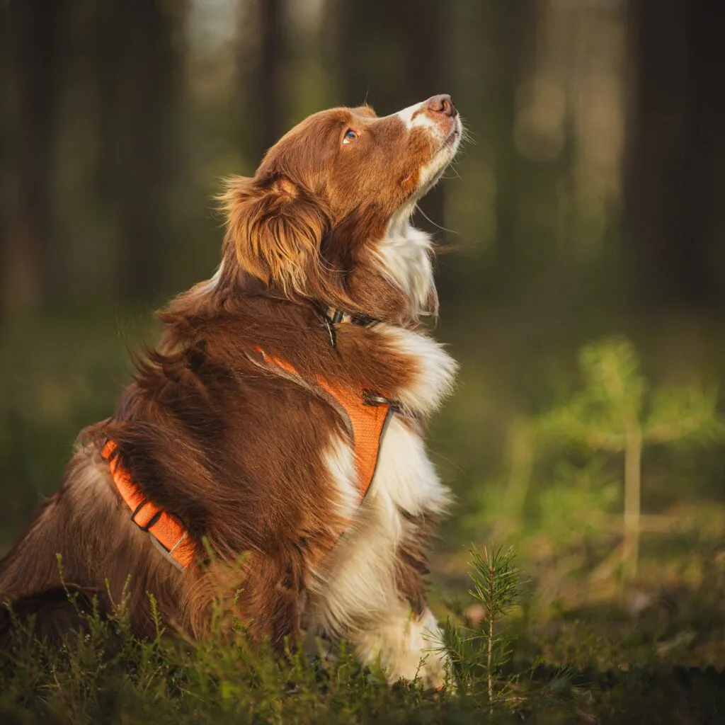 78fb103f-edf0-4d4f-baee-eb0bc409043f