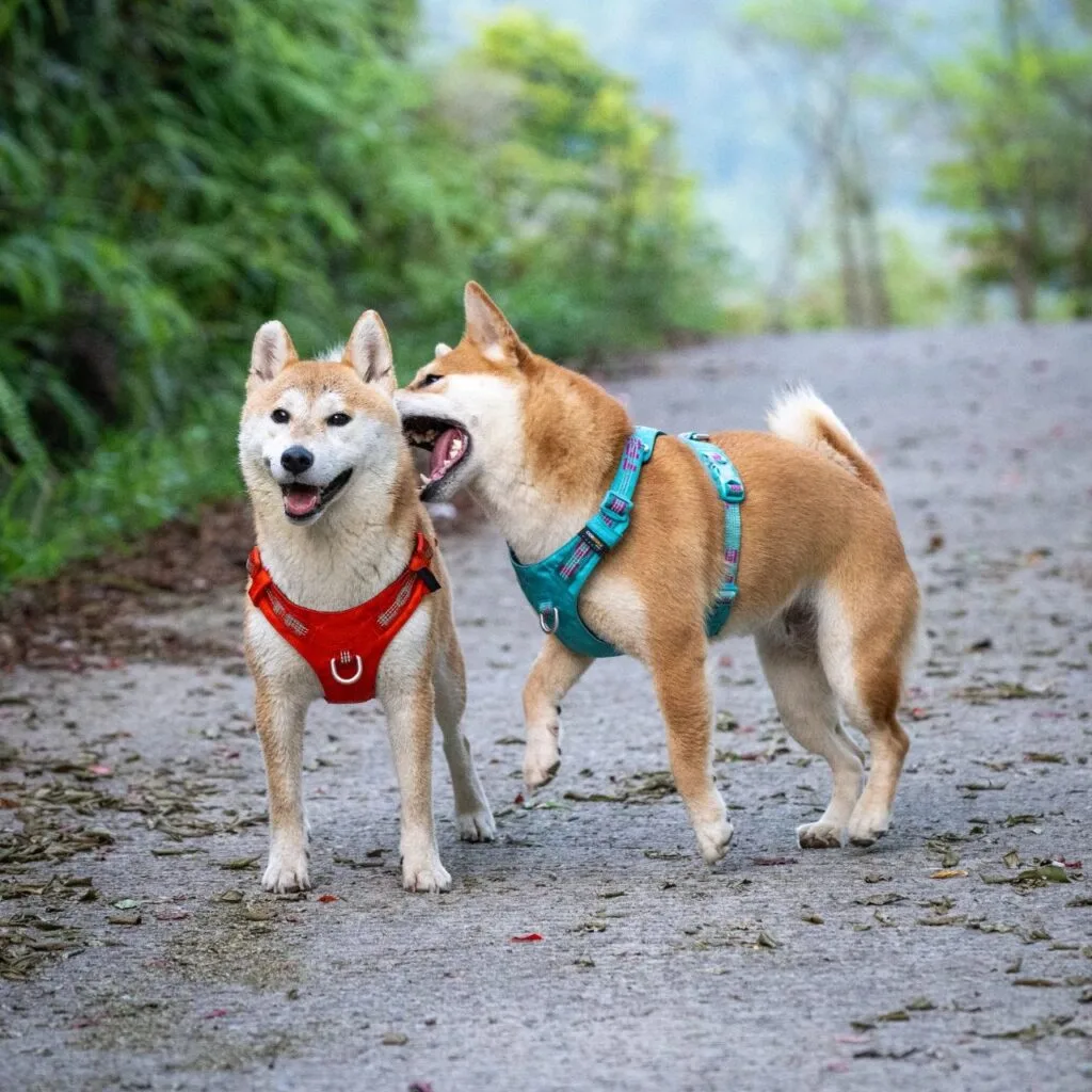 微信图片_2025-06-25_113540_776